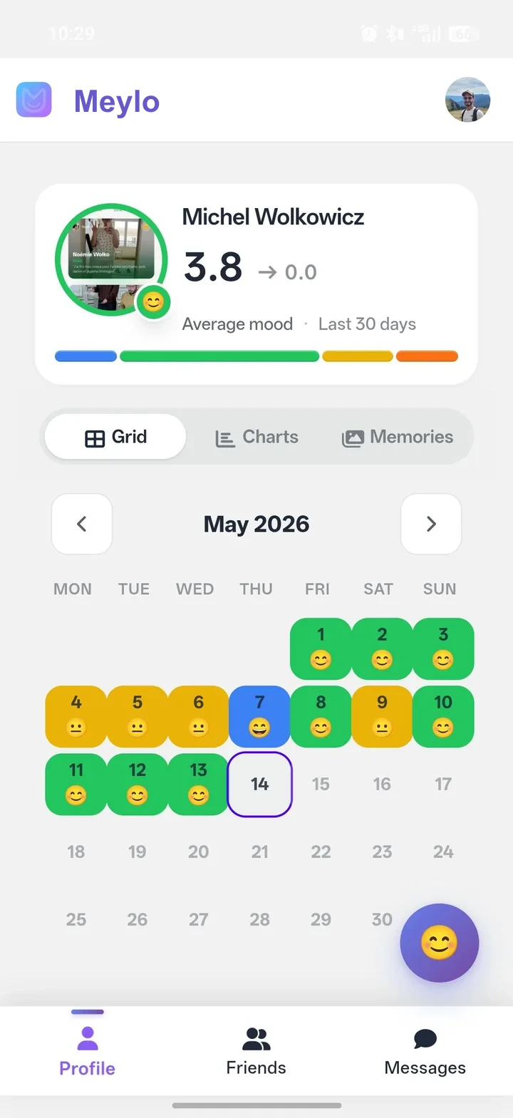 Meylo preview — yearly mood tracking grid